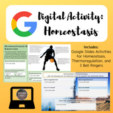 Homeostasis Digital Activities | Google Slides