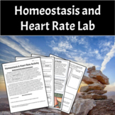 Homeostasis & Heart Rate Lab (Max Heart Rate and Exercise 