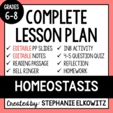 Homeostasis Lesson | Printable & Digital