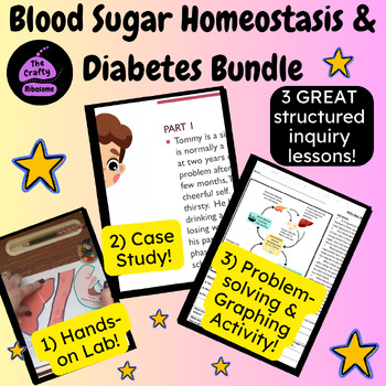 Preview of Homeostasis, Negative Feeback, Blood Sugar, Diabetes, Endocrine Bundle