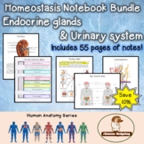 Homeostasis Notebook Bundle
