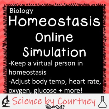 Preview of Homeostasis Online Simulation