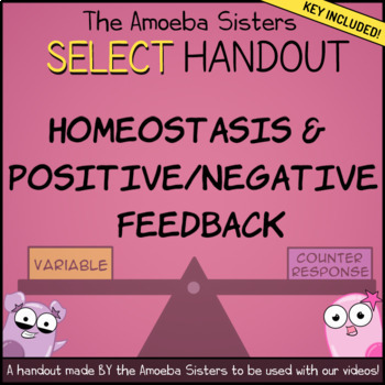 Preview of Homeostasis, Positive/Negative Feedback SELECT Handout + Key by Amoeba Sisters