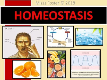 Preview of Homeostasis PowerPoint (editable)