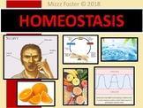 Homeostasis PowerPoint (editable)