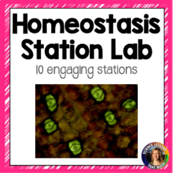 Preview of Homeostasis Station Lab