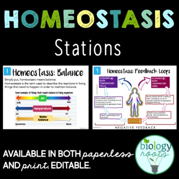 Preview of Homeostasis Stations