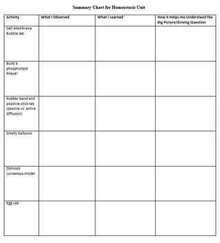 Homeostasis Unit by Kelsey Mims | Teachers Pay Teachers