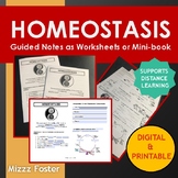 Homeostasis Worksheets or Minibook Guided Notes (Digital &