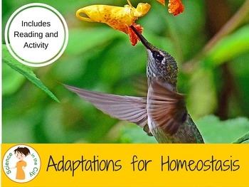 Preview of Homeostasis and Adaptations