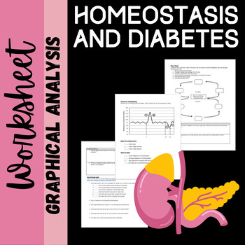 Preview of Homeostasis and Diabetes Analysis