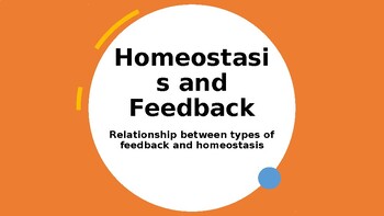 Preview of Homeostasis and Feedback PowerPoint (includes negative and positive feedback)