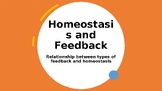 Homeostasis and Feedback PowerPoint (includes negative and