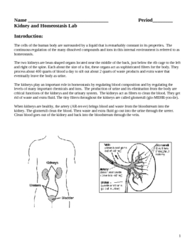 Preview of Homeostasis and Human Excretion Kidney Laboratory Lesson Plan