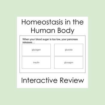 Preview of Homeostasis in the Human Body