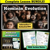 Hominin Evolution | Hominid Evolution | Human Evolution Co