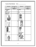 Heterogeneous And Homogeneous Mixtures Worksheet | TpT