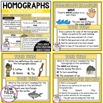 homographs bundle worksheet pack and guided teaching powerpoint