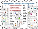Homographs: Multiple Meaning Words