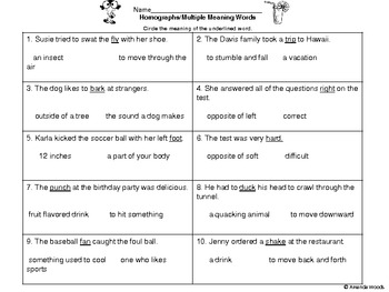 Preview of Homographs/ Multiple Meaning Words Assessment