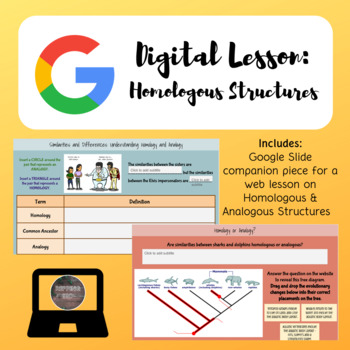 Preview of Homologous Structures Digital Lesson | Google Slides