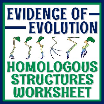 Preview of Evidence of Evolution Homologous Structures Activity MS-LS4-2, MS-LS4-3, HS-LS4