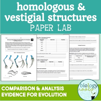 Preview of Evolution- Homologous and Vestigial Structures