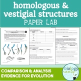 Evolution- Homologous and Vestigial Structures