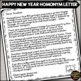 Grammar Activity Homonym Happy New Year Letter