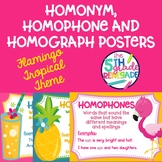 Homonym, Homograph and Homophone Posters Flamingo Tropical Theme