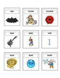 Homonym Sorting Cards