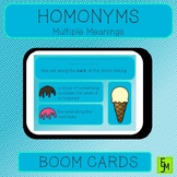 Homonyms BOOM Cards