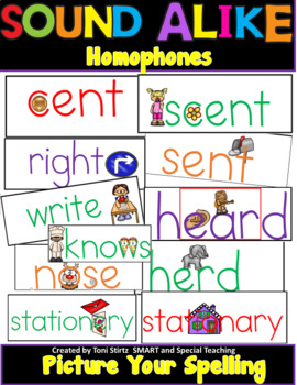 Preview of Homophones Multiple Meaning Orton Gillingham with Clip Art