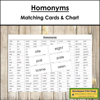 Montessori Homeschool HOMOPHONES Match Card Language Arts Word Study Material