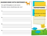 Homophone Brochure (Grammar Corner)