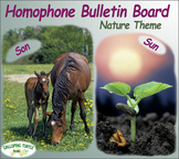 Homophone Bulletin Board