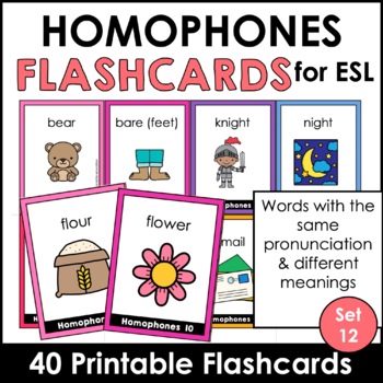 Homophones in Sentences Flash Card Super Duper Fun Deck Vocabulary Early Reading 