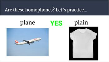 Preview of Homophone Intro Power Point