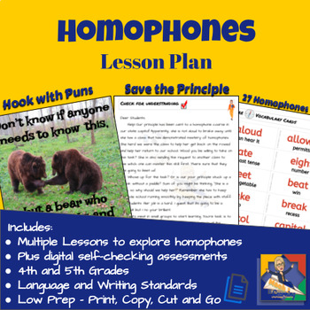 Preview of Homophone Lesson with Hook and Pre/Post Assessments