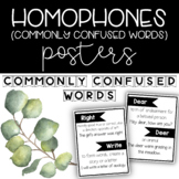 Homophone Posters - Commonly Confused Words