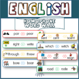 Homophone Word Wall illustrated set 100 different homophones