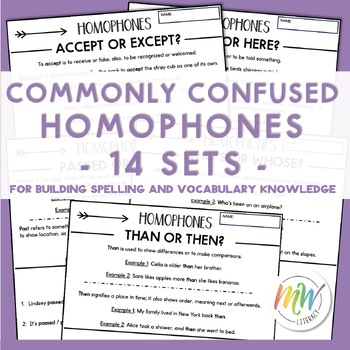 Preview of Homophone Worksheets