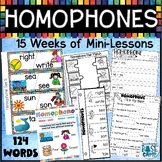 Homophone Worksheets