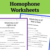 Homophone Worksheets with Student Anchor Chart