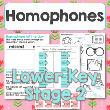 Preview of Homophone of the day PLUS mixed activities set 2