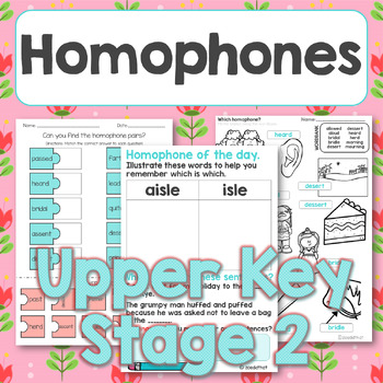 Preview of Homophone of the day PLUS mixed activities set 3