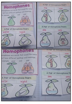 homophones worksheets by little achievers teachers pay