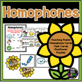 Homophones Activities Grammar