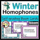 Homophones Boom Cards Winter Themed Vocabulary Practice