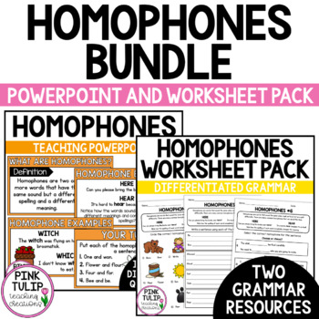 Preview of Homophones Bundle - Worksheet Pack and Guided Teaching PowerPoint